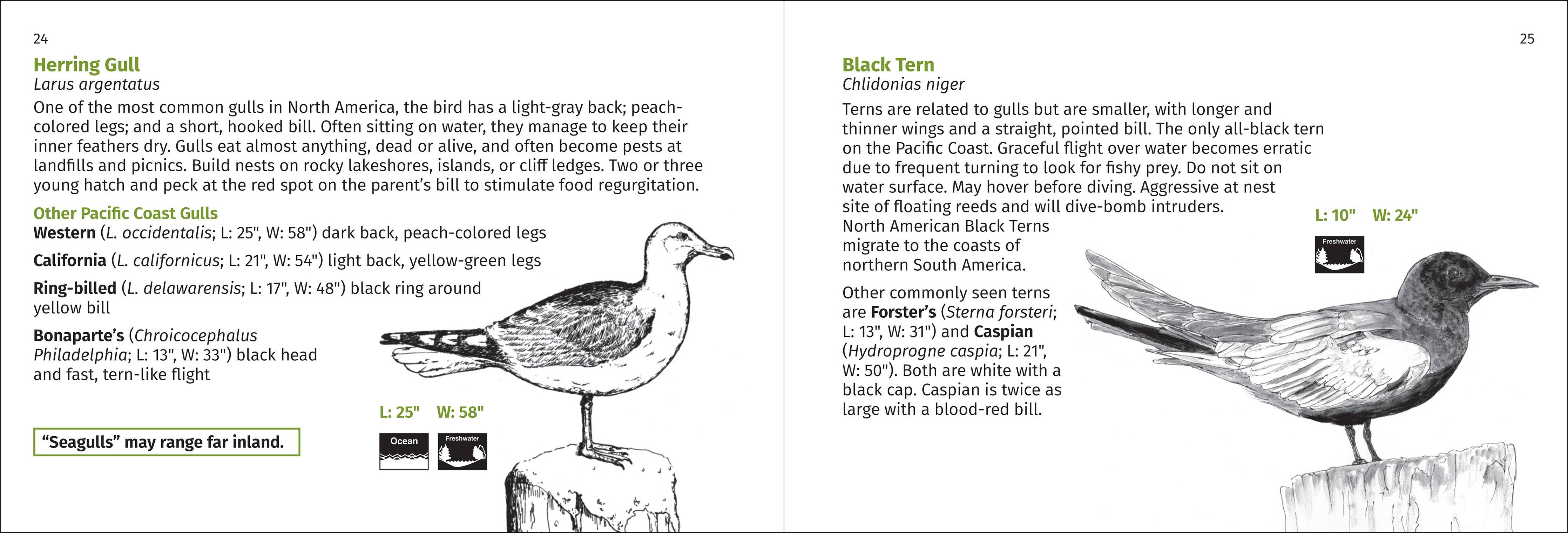 Pacific Coast Bird Finder Pocket Guide - DIGS
