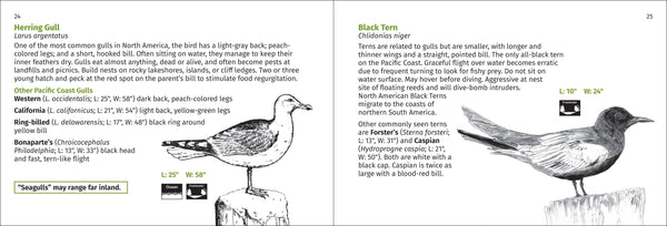 Pacific Coast Bird Finder Pocket Guide - DIGS