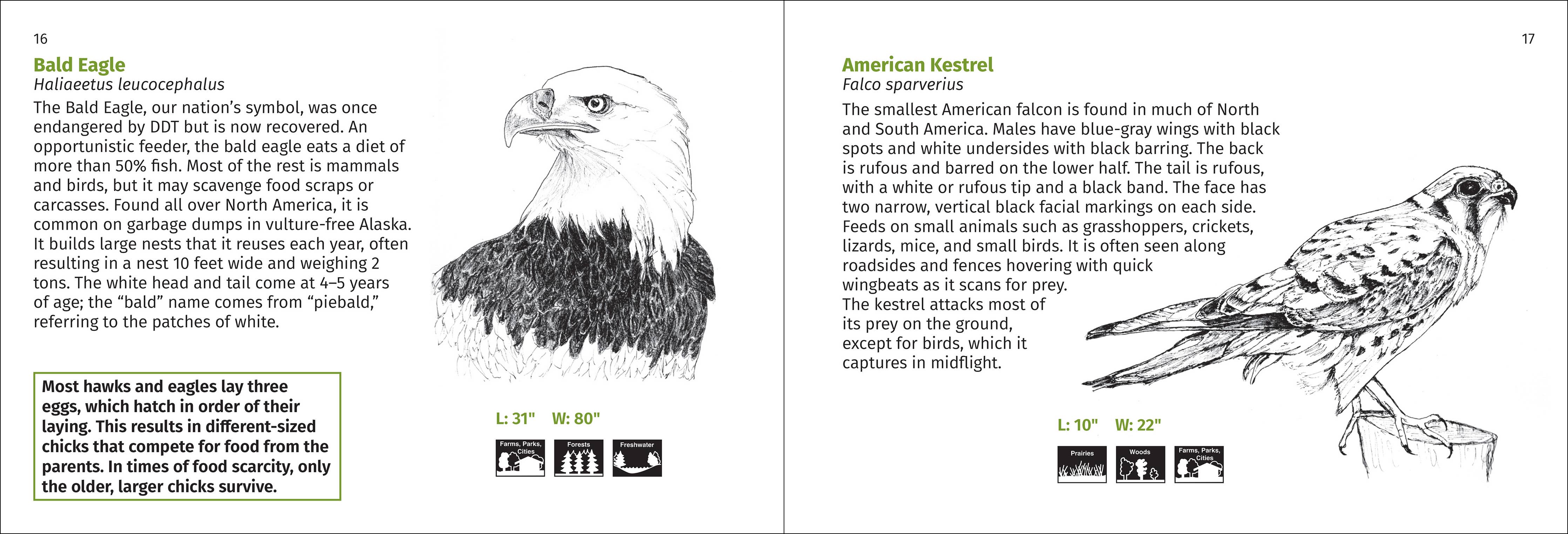 Pacific Coast Bird Finder Pocket Guide - DIGS