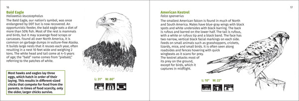 Pacific Coast Bird Finder Pocket Guide - DIGS