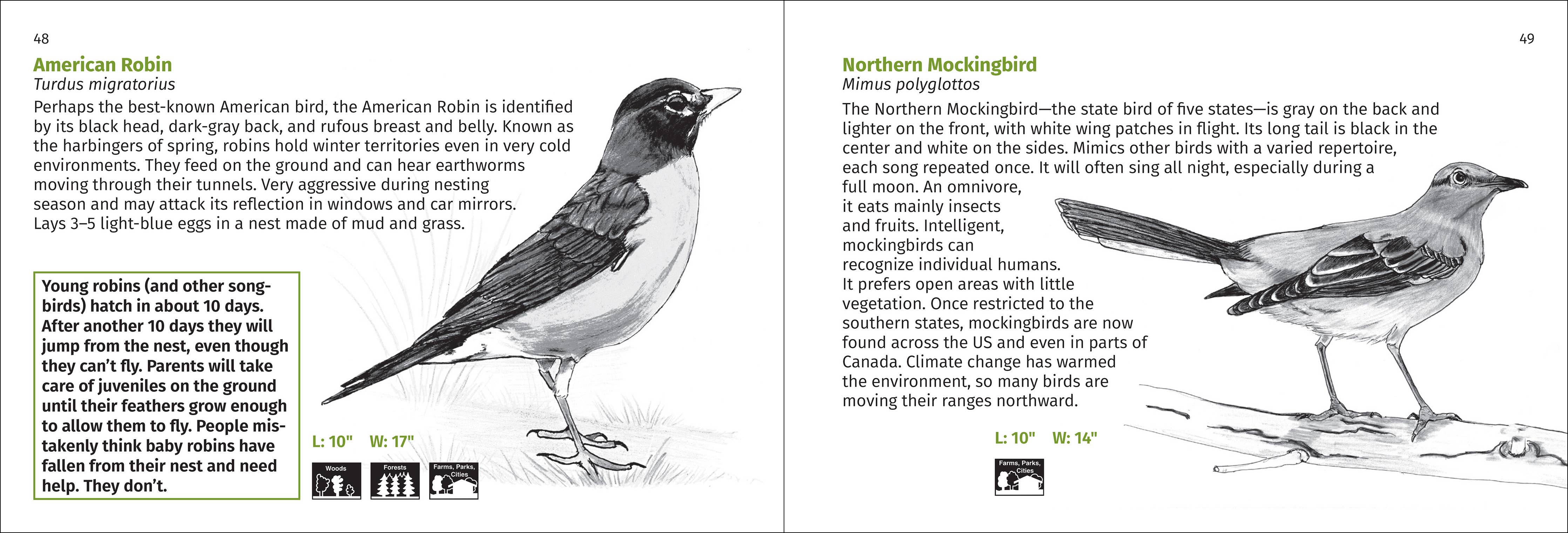 Pacific Coast Bird Finder Pocket Guide - DIGS
