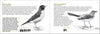 Pacific Coast Bird Finder Pocket Guide - DIGS