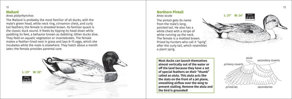 Pacific Coast Bird Finder Pocket Guide - DIGS