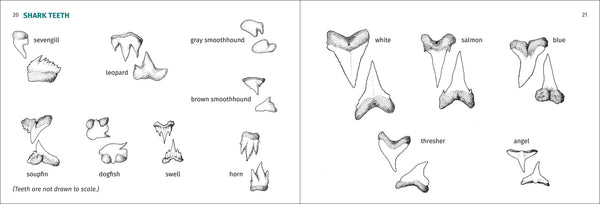 Pacific Coast Fish Finder Pocket Guide - DIGS