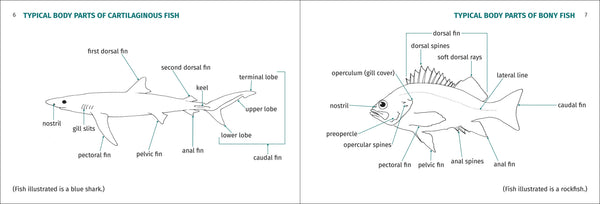 Pacific Coast Fish Finder Pocket Guide - DIGS