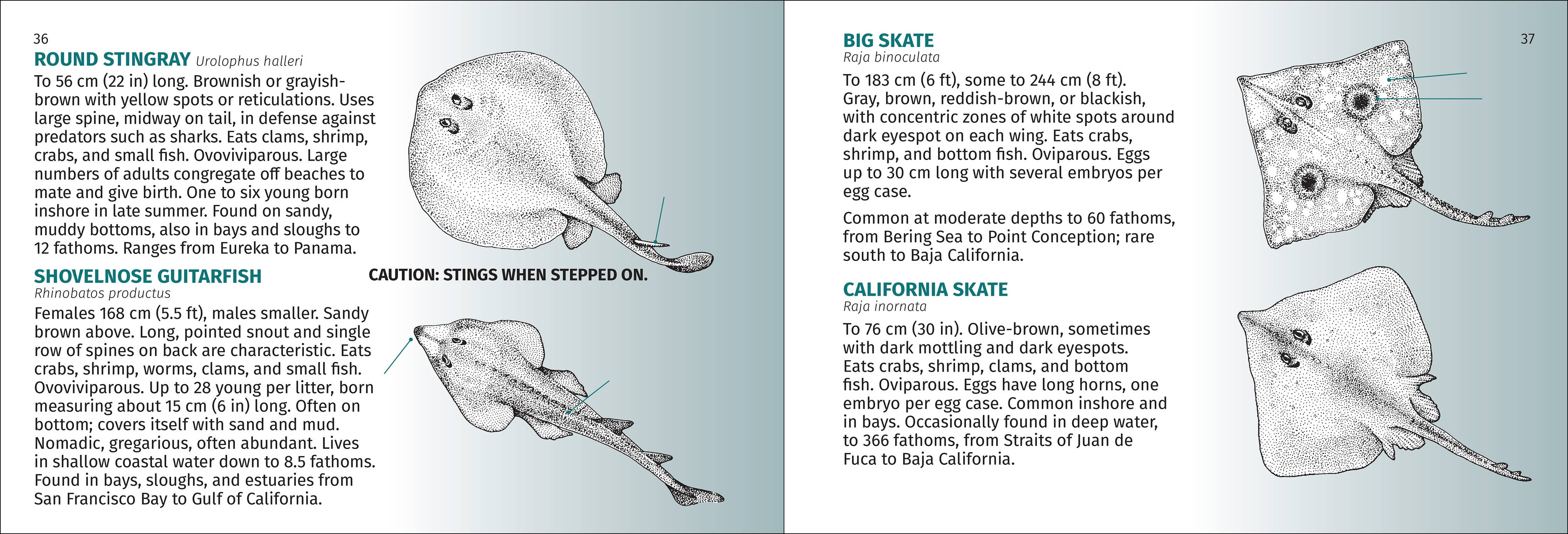 Pacific Coast Fish Finder Pocket Guide - DIGS