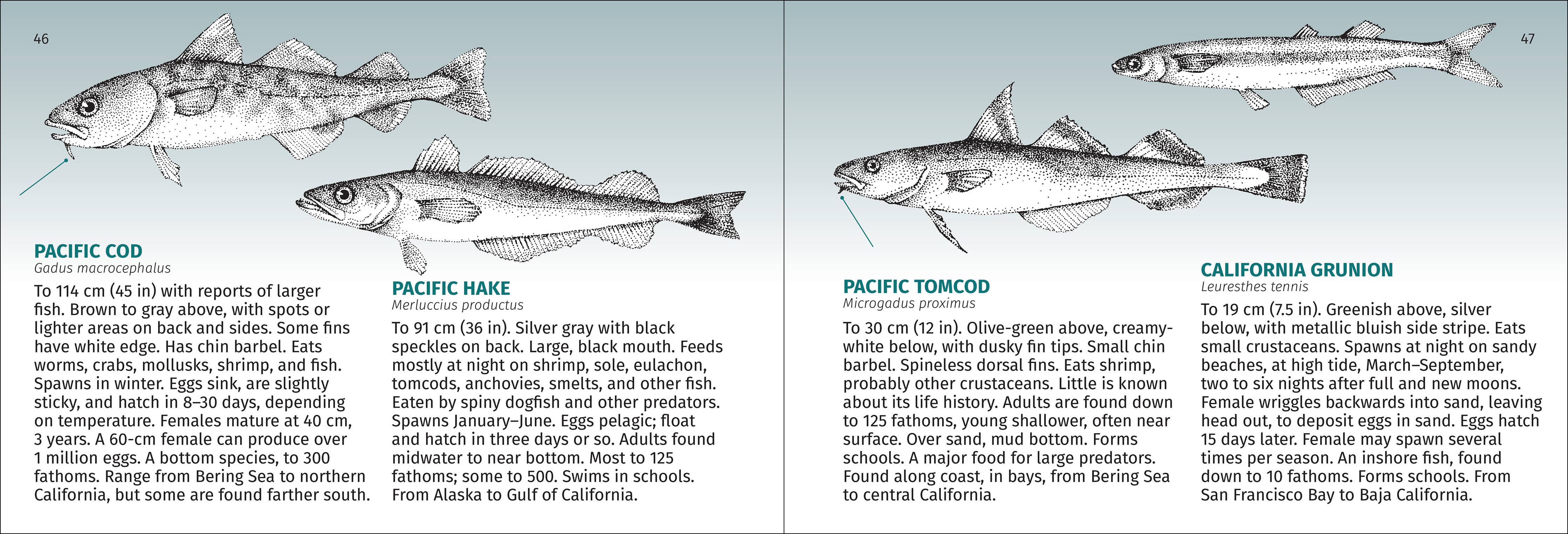 Pacific Coast Fish Finder Pocket Guide - DIGS