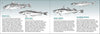 Pacific Coast Fish Finder Pocket Guide - DIGS