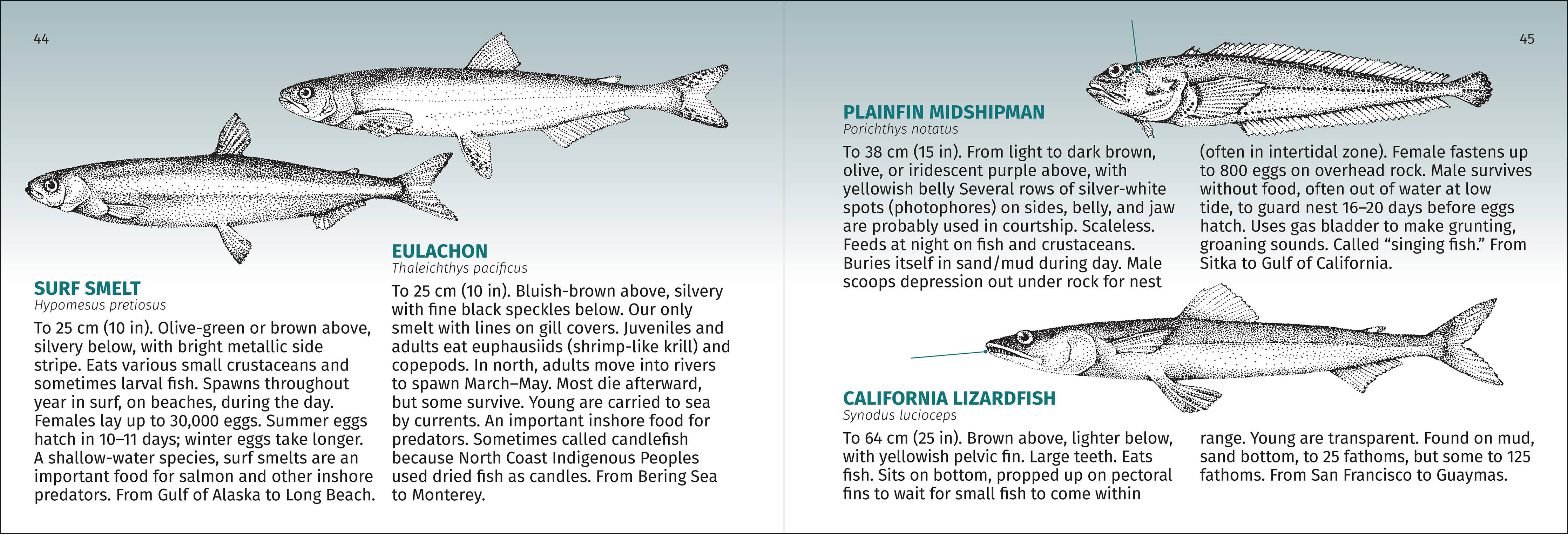 Pacific Coast Fish Finder Pocket Guide - DIGS