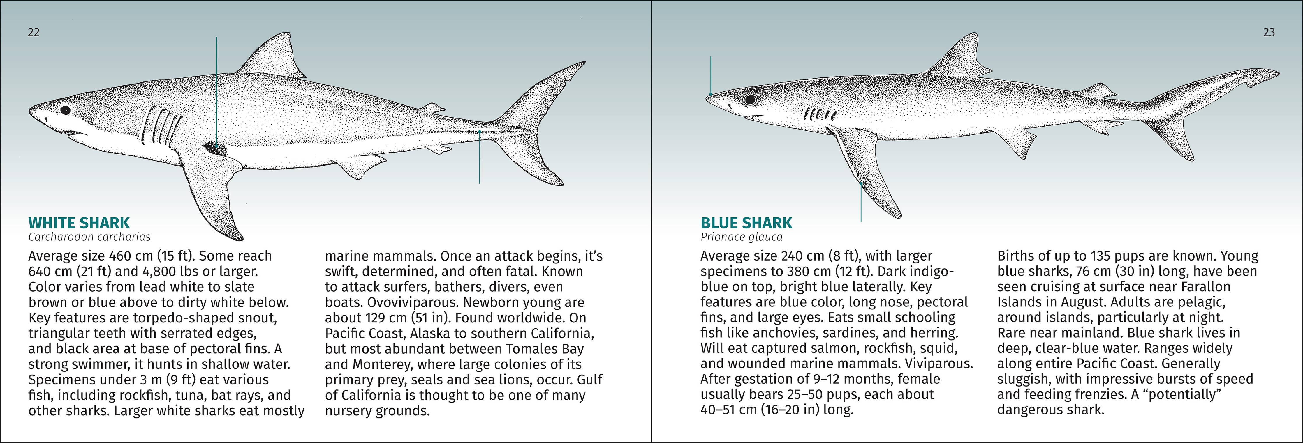 Pacific Coast Fish Finder Pocket Guide - DIGS