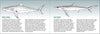 Pacific Coast Fish Finder Pocket Guide - DIGS
