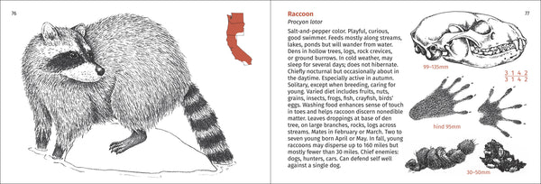 Pacific Coast Mammal Finder Pocket Guide - DIGS