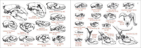 Pacific Coast Mammal Finder Pocket Guide - DIGS