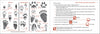 Pacific Coast Mammal Finder Pocket Guide - DIGS