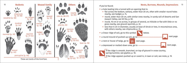 Pacific Coast Mammal Finder Pocket Guide - DIGS