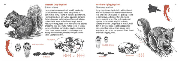 Pacific Coast Mammal Finder Pocket Guide - DIGS