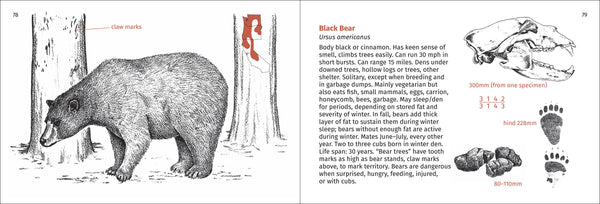 Pacific Coast Mammal Finder Pocket Guide - DIGS