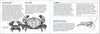 Pacific Intertidal Life Finder Pocket Guide - DIGS