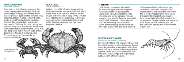 Pacific Intertidal Life Finder Pocket Guide - DIGS