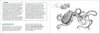 Pacific Intertidal Life Finder Pocket Guide - DIGS