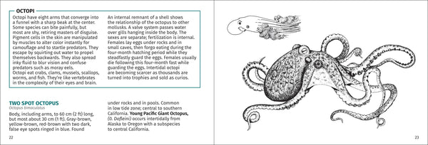 Pacific Intertidal Life Finder Pocket Guide - DIGS