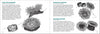 Pacific Intertidal Life Finder Pocket Guide - DIGS
