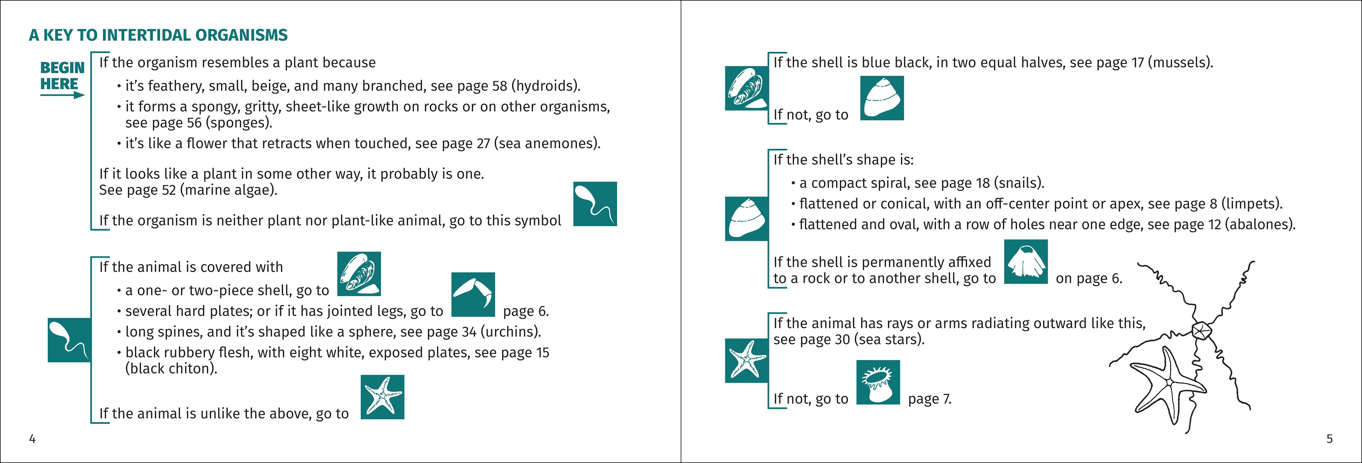 Pacific Intertidal Life Finder Pocket Guide - DIGS
