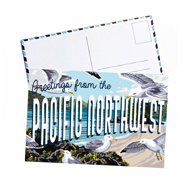 Pacific Northwest Seagull Postcard - DIGS