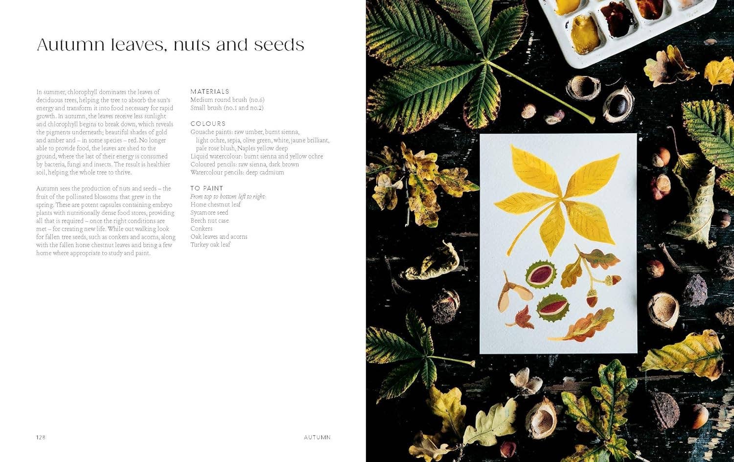 Painting Nature: Techniques, Tutorials and Projects - DIGS