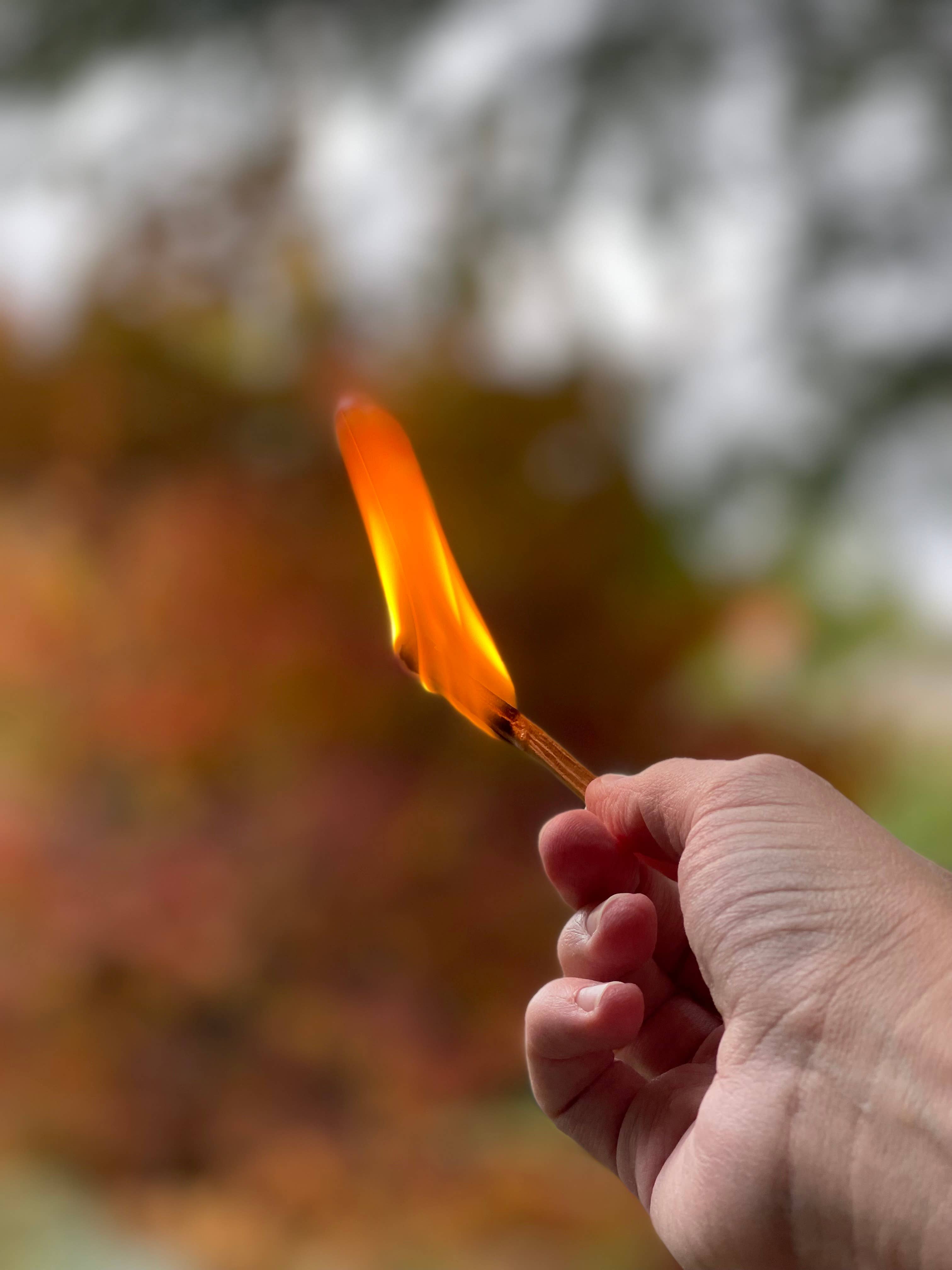 Palo Santo Matches - DIGS