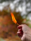 Palo Santo Matches - DIGS