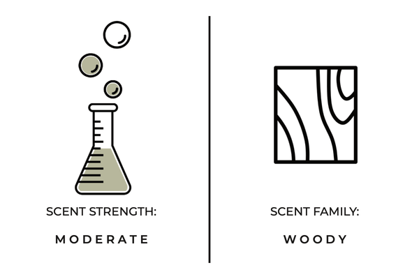 Palo Santo Mini Candle - DIGS