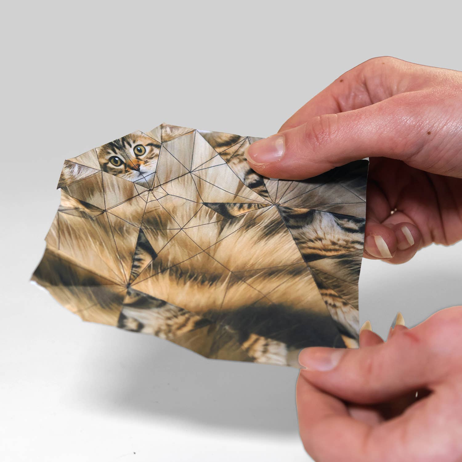 Paper Cats Origami Kit - DIGS