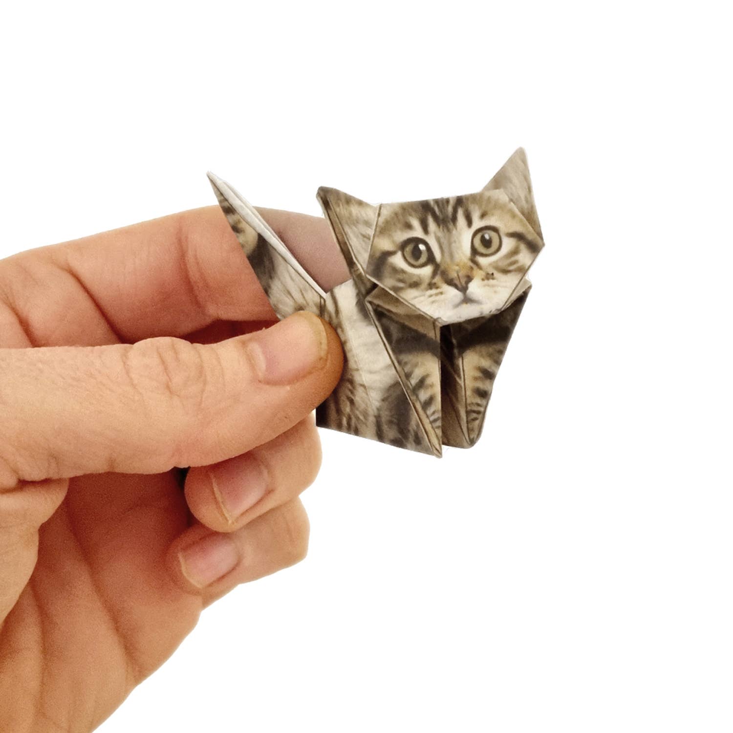 Paper Cats Origami Kit - DIGS