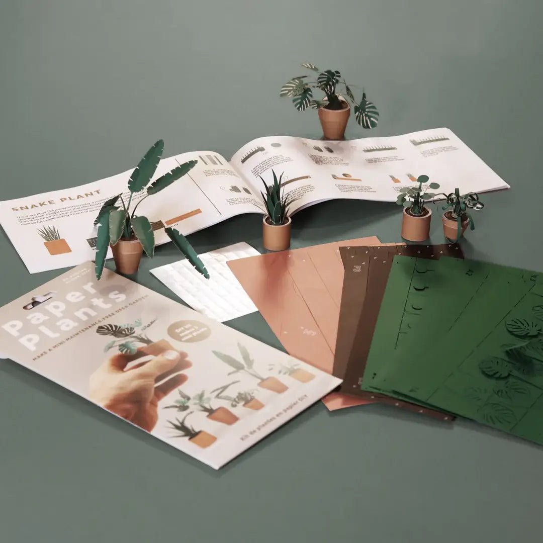 Paper Plants DIY Kit - DIGS