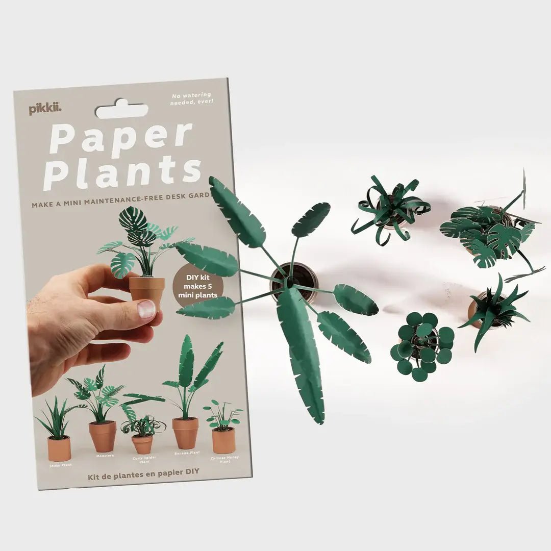 Paper Plants DIY Kit - DIGS