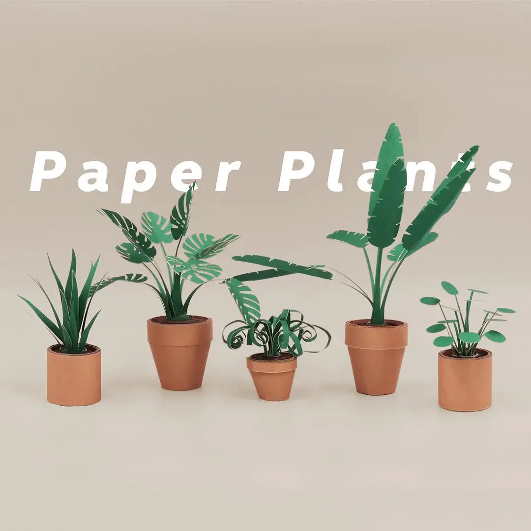 Paper Plants DIY Kit - DIGS