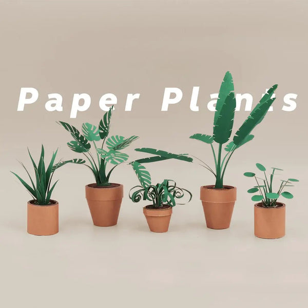 Paper Plants DIY Kit - DIGS