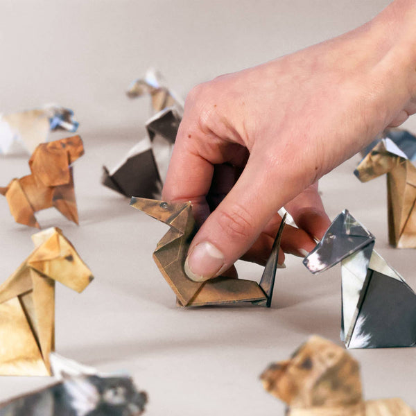 Paper Pups Origami Kit - DIGS