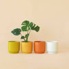 Parker Planter with Trivet - DIGS