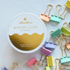 Pastel Rainbow Binder Clips - DIGS