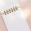 Pebble Dotted Jotter Notebook - DIGS