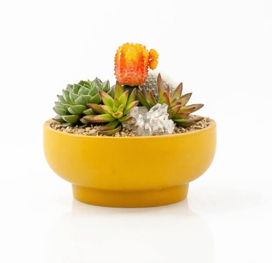 Pedestal Home & Garden Bowls - DIGS