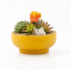 Pedestal Home & Garden Bowls - DIGS