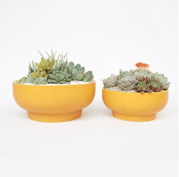 Pedestal Home & Garden Bowls - DIGS
