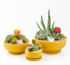 Pedestal Home & Garden Bowls - DIGS