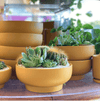 Pedestal Home & Garden Bowls - DIGS