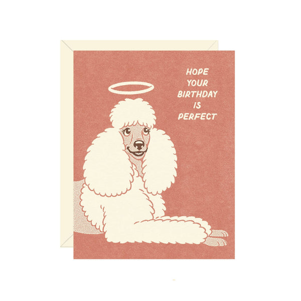Perfect Poodle Birthday Greeting Card - DIGS