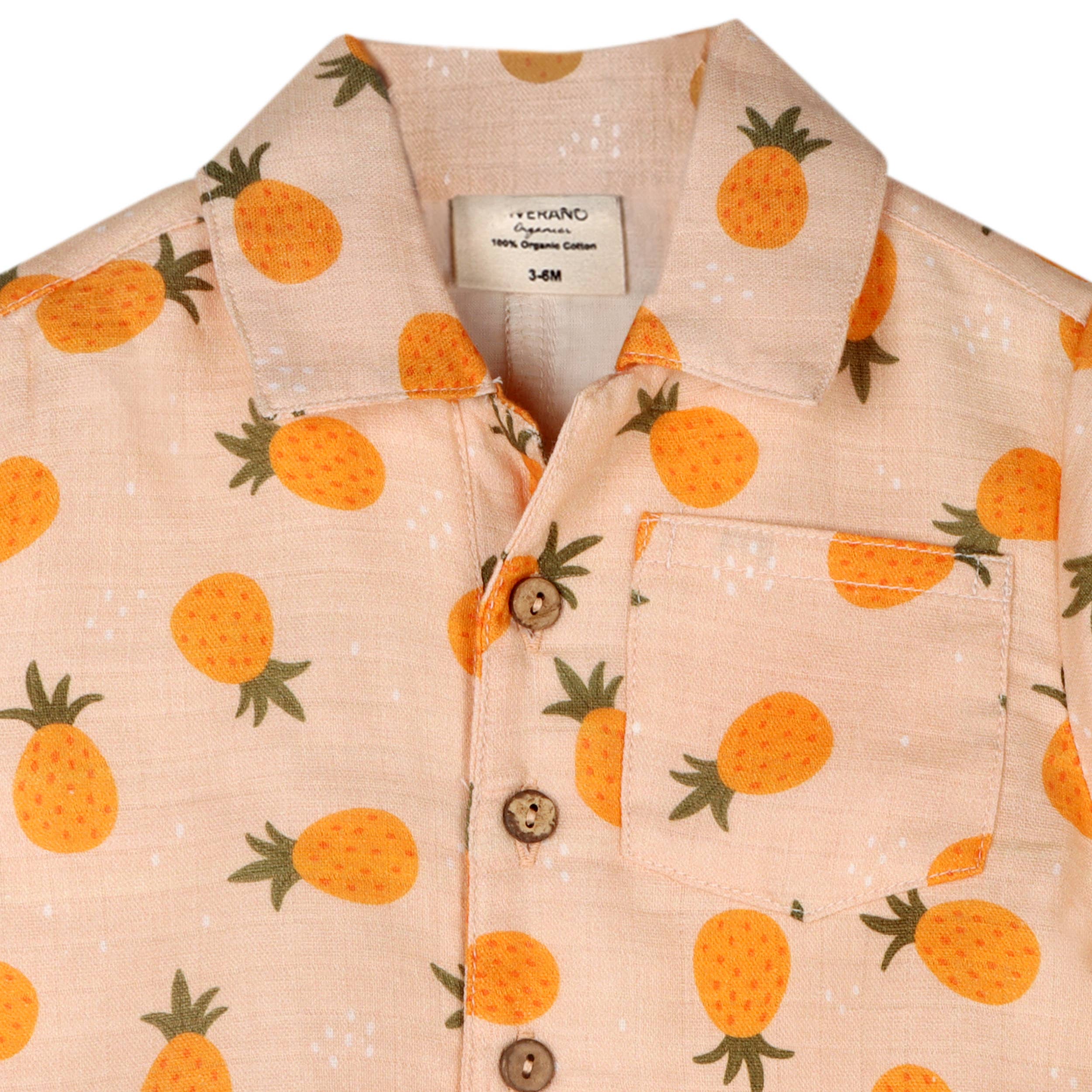 Pineapple Short Baby Romper - DIGS