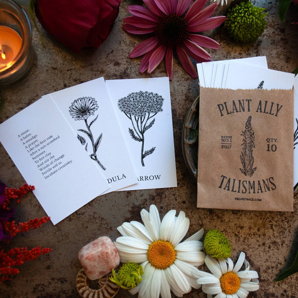 Plant Ally Talisman Cards | Vol 1 - DIGS